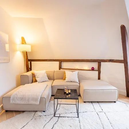 Penthouse In The Heart Of Apartment Copenhagen