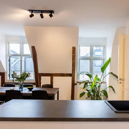 Apartment Penthouse In The Heart Of *