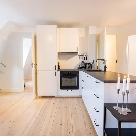 Apartment Penthouse In The Heart Of Copenhagen