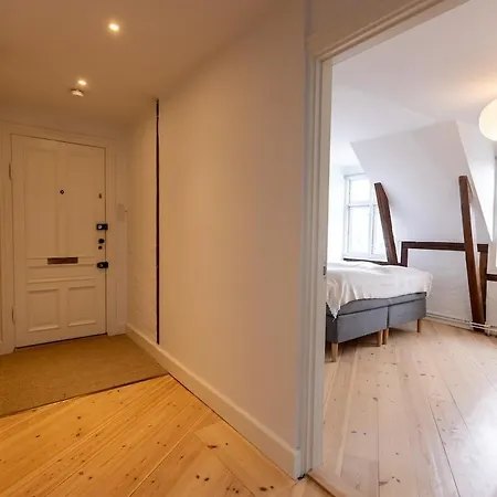 Apartment Penthouse In The Heart Of Copenhagen